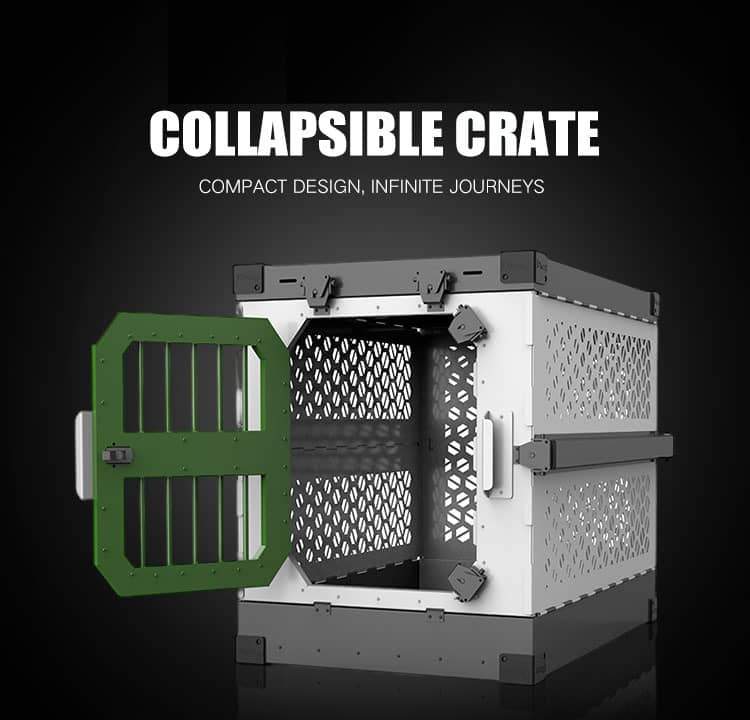 Collapsible dog crate